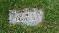 Barbara <I>Macek</I> Cervenka 