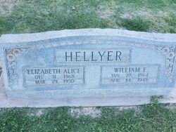 Elizabeth Alice <I>Larremore</I> Hellyer 