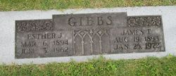 James T Gibbs 