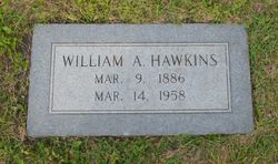 William Allen Hawkins 