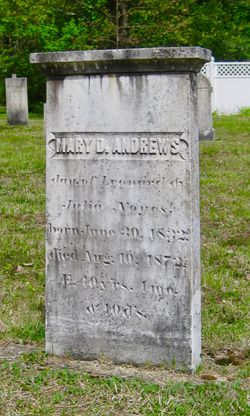 Mary D <I>Noyes</I> Andrews 