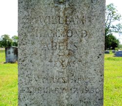 William Hammond Abels 