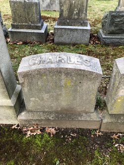 Charles Alexander Hale 