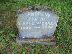 Andrew Werner 