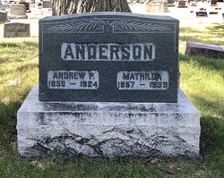 Andrew P Anderson 