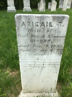 Abigail R Bishop 