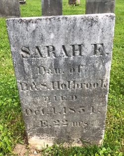 Sarah E Holbrook 