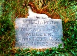 William J Muller 