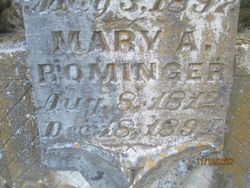 Mary Ann <I>Walter</I> Rominger 