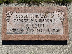 Clyde Luke Wilson 