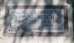 Lawrence Busch 