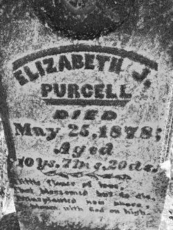 Elizabeth J “Betsy” Purcell 