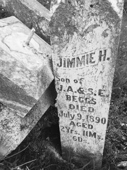 Jimmie H Beggs 