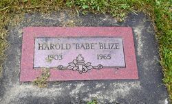 Harold T Blize 