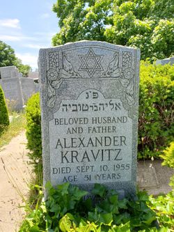 Alexander Kravitz 