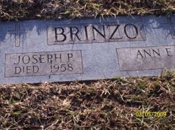 Joseph P Brinzo 