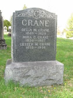 Lester M Crane 