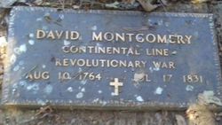 David Montgomery 