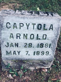Capytola Arnold 
