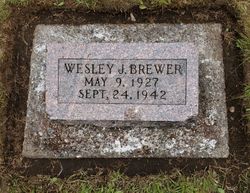 Wesley J. Brewer 
