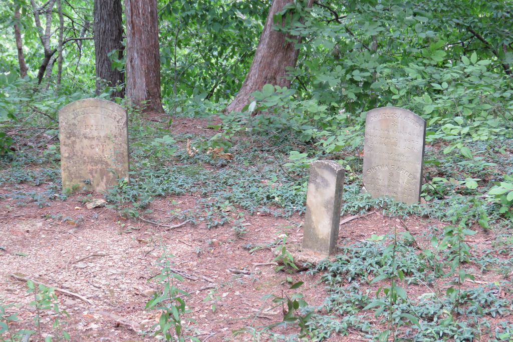 Arrey-Fridley Family Cemetery