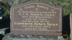 Albert Edward Henry “Harry” Silks 