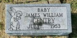 James William Gentry 
