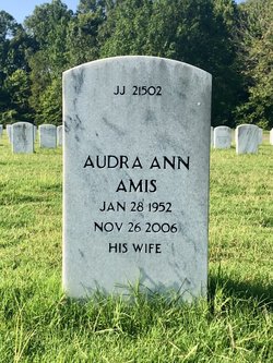 Audra Ann <I>Wells</I> Amis 