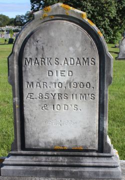Mark S Adams 