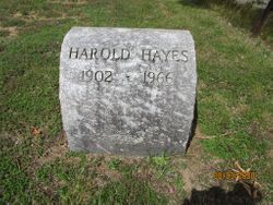 Harold Hayes 