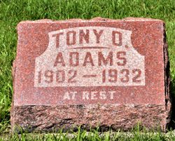 Tony Donald Adams 