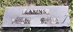 Effie Regina <I>Faulds</I> Eakins 