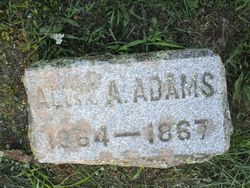 Alvin A. Adams 