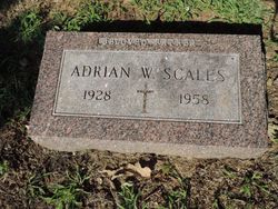Adrian W Scales 