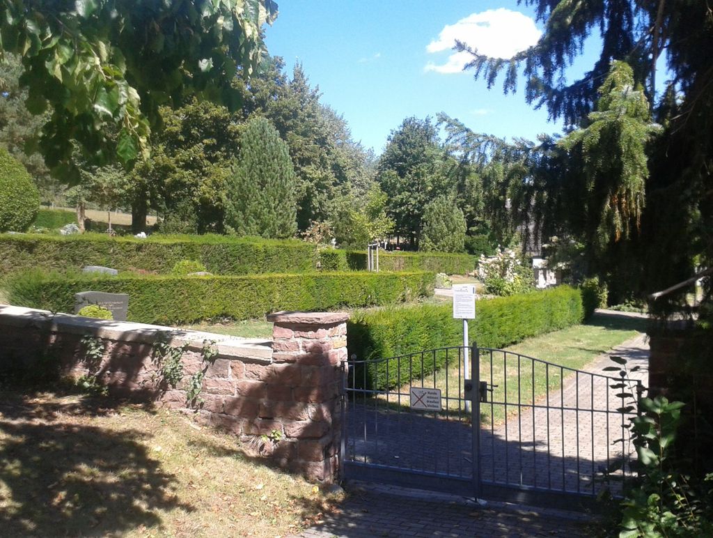 Friedhof Spessart