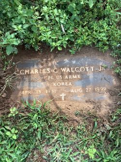Charles C Walcott Jr.