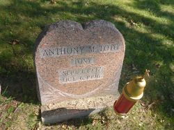 Anthony M. Toto 