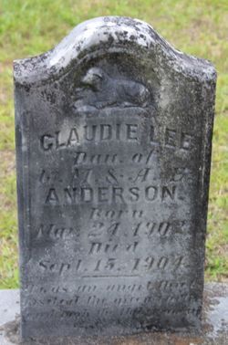 Claudie Lee Anderson 