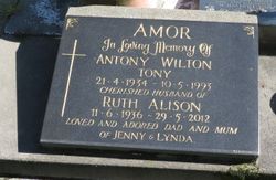Antony Wilton Amor 