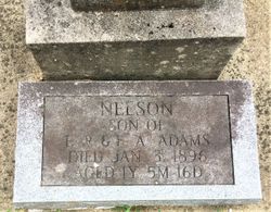 Nelson Adams 