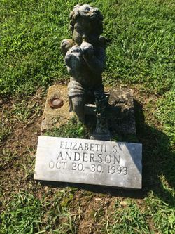 Elizabeth S Anderson 