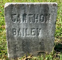 Catherine “Canthon” <I>Towler</I> Bailey 