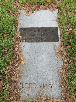 Joseph W “Little Buddy” Harris Jr.