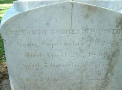 Algernon Sydney Thornton 
