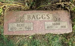 Abigail E. “Abbie” <I>Barrett</I> Baggs 