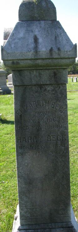 Harry Beck 