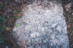 Alice L. Branch 