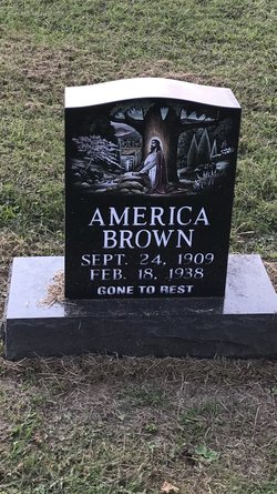 America <I>Hall</I> Brown 