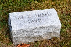 Roy C Adams 