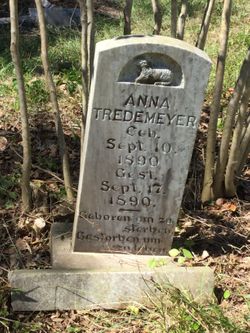 Anna Tredemeyer 